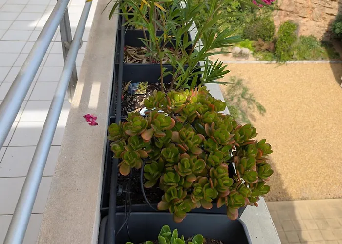 Vue Bleu Azur Apartamento Sète