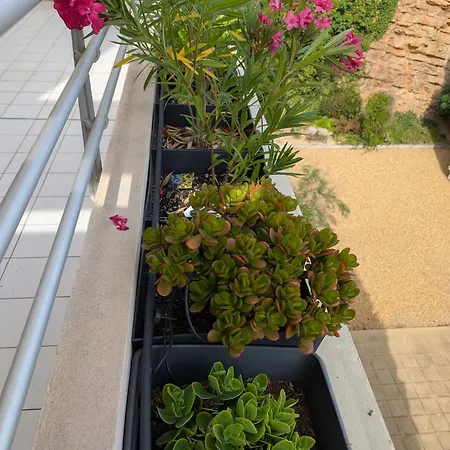 Vue Bleu Azur Apartament Sète